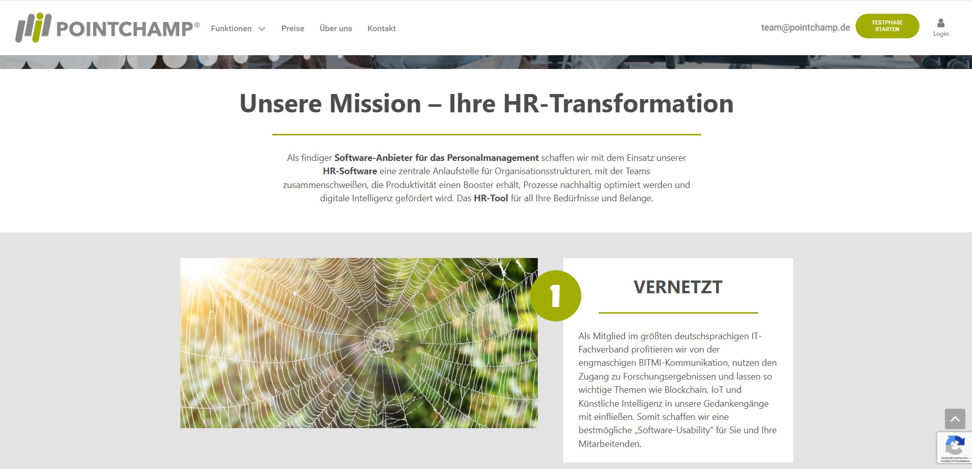 WordPress (Gantry 5)/CSS
